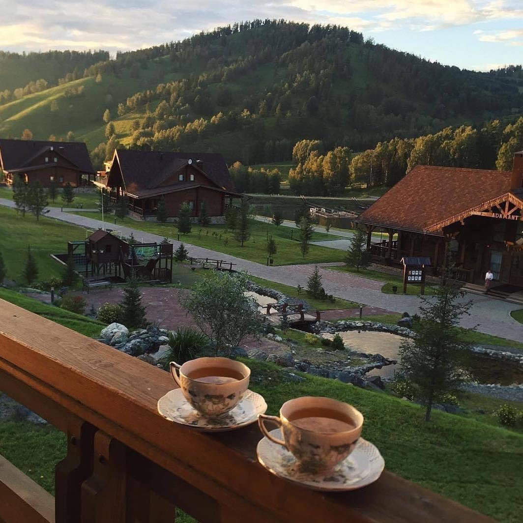 jasmineambre's tweet photo. – time to relax 🌱 https://t.co/6tEI5Xfwew