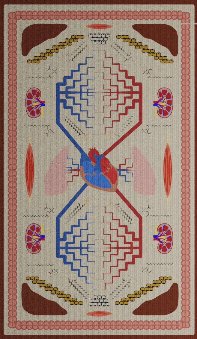 We're featuring Dr. @JudithSimcox for #SeeingDiversity! This illustration was made by a talented summer intern, Sarah Nelson @RosyShrike and features plasma lipids and the tissues of production & uptake. The design was inspired by Navajo weaving.