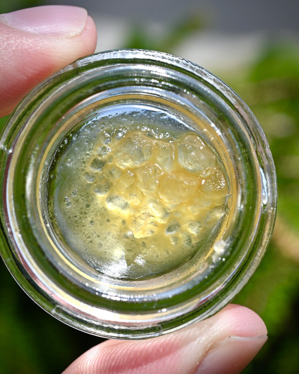 NW_Kind's tweet photo. 💪 The most high-powered #cannabisproducts on the market. We love the unique flavors, smells, and potent effects our diamonds &amp; sauce deliver. https://t.co/ujUQRhNNSb