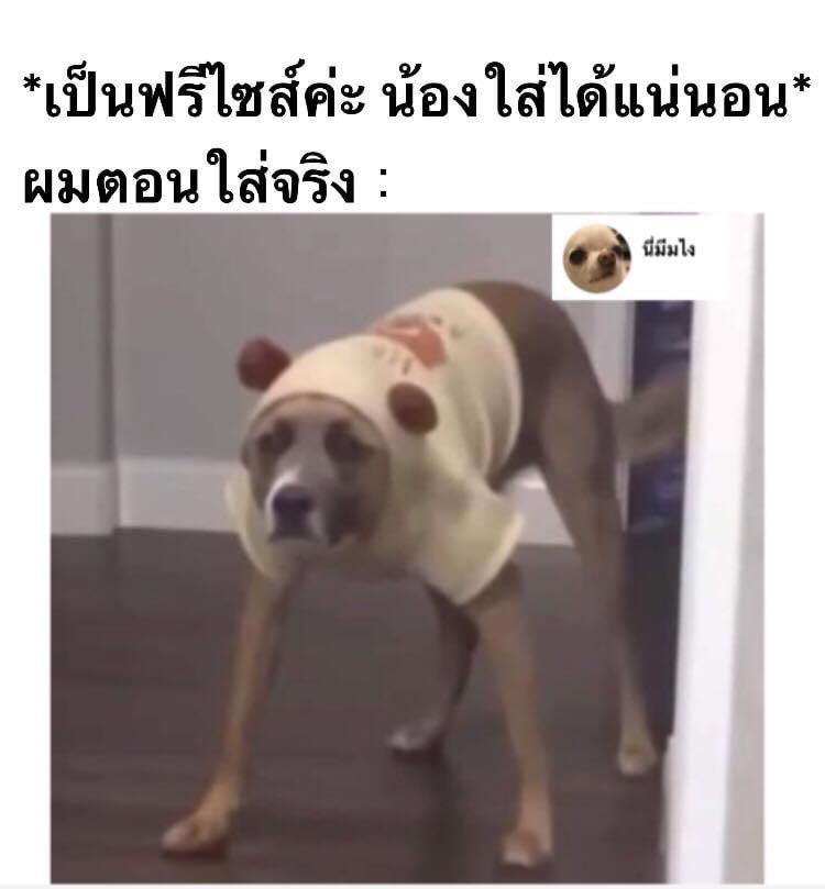 ว่าไงนะคะ tweet media