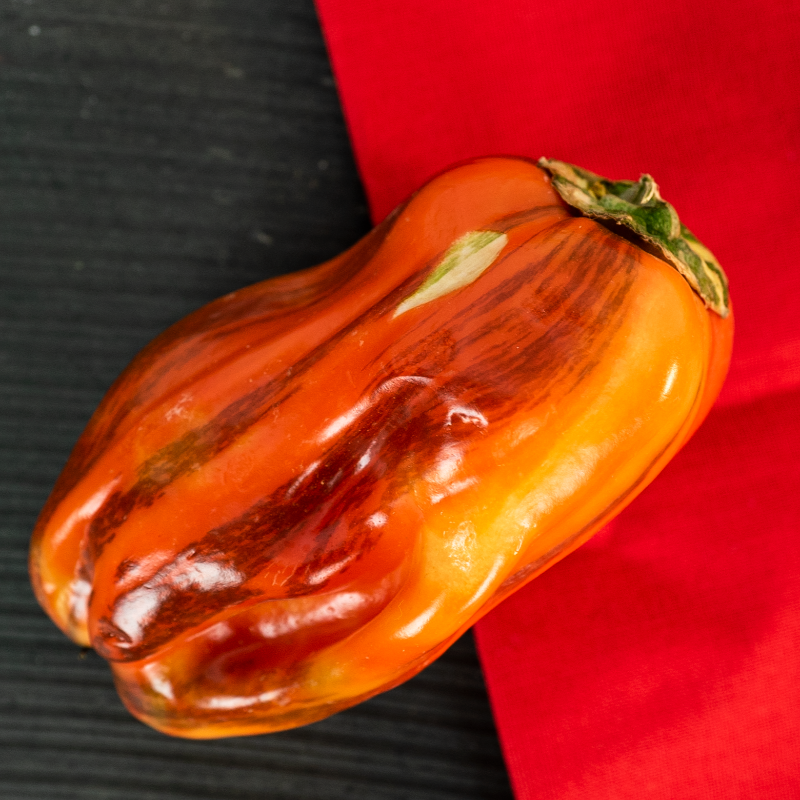 SpecialtyProd's tweet photo. These Candy Cane Chocolate Cherry Peppers are just stunning! #specialtyproduce #peppers #candycanepeppers