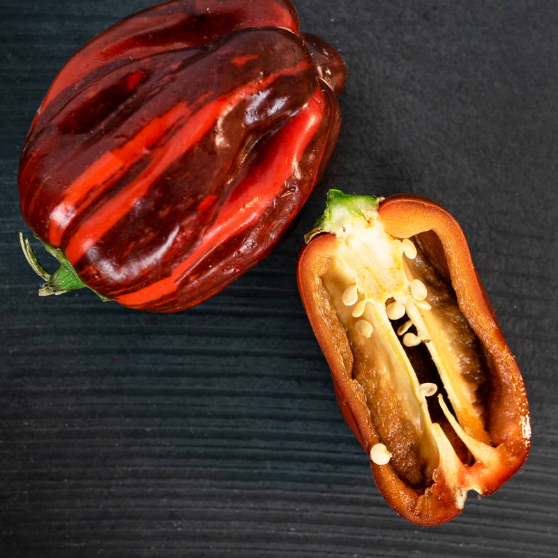 SpecialtyProd's tweet photo. These Candy Cane Chocolate Cherry Peppers are just stunning! #specialtyproduce #peppers #candycanepeppers