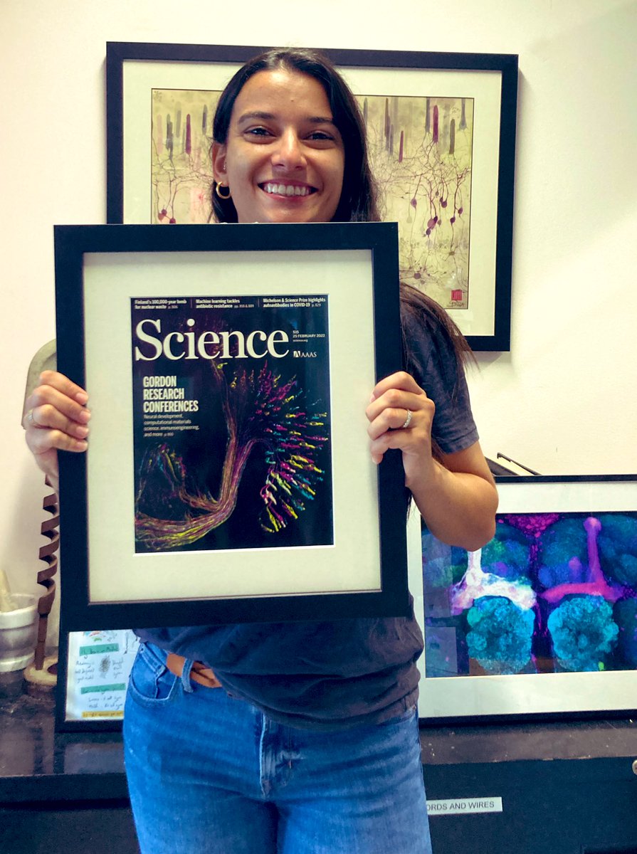 Amanda A. G. Ferreira tweet media