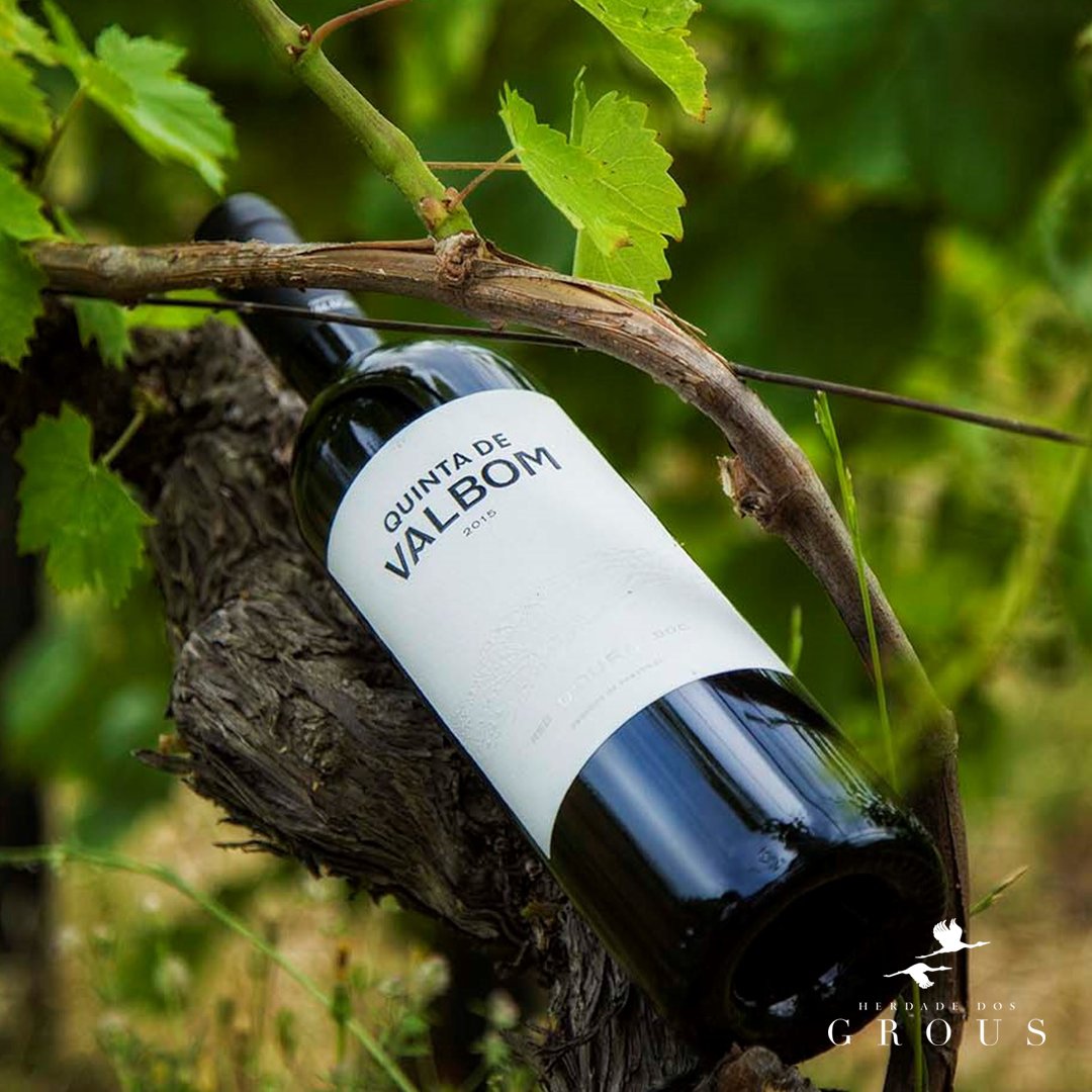 At Quinta de Valbom we are already forecasting a good start to the harvest! The maturation of most of the traditional Douro grape varieties which are part of our vineyards is with a great evolution, and soon we will have news!