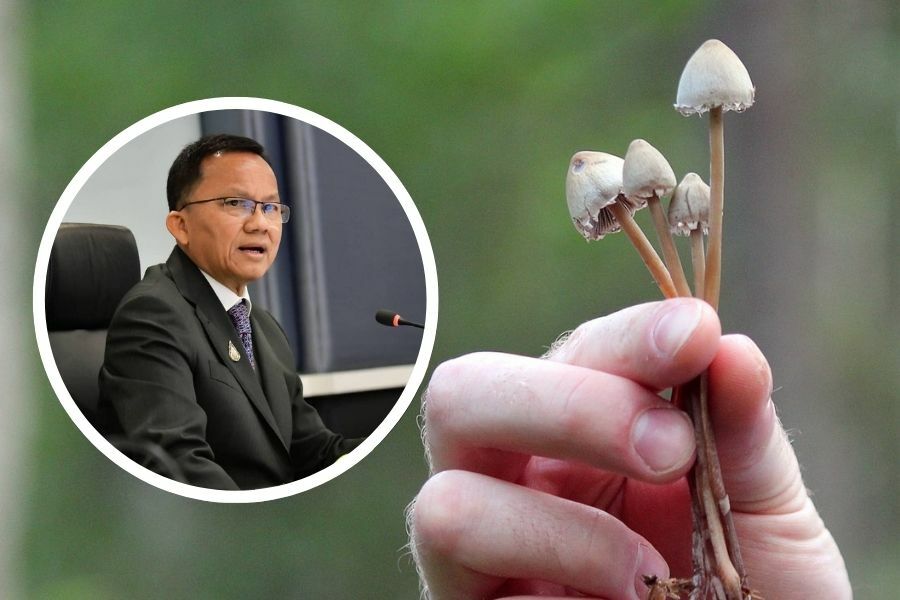 Legal psychedelic therapy coming to Thailand!

"The Thai Narcotics Control Board announced it will develop medicine from hallucinogenic magic mushrooms to help cure the nation’s depressed citizens." 

source: TheThaiger