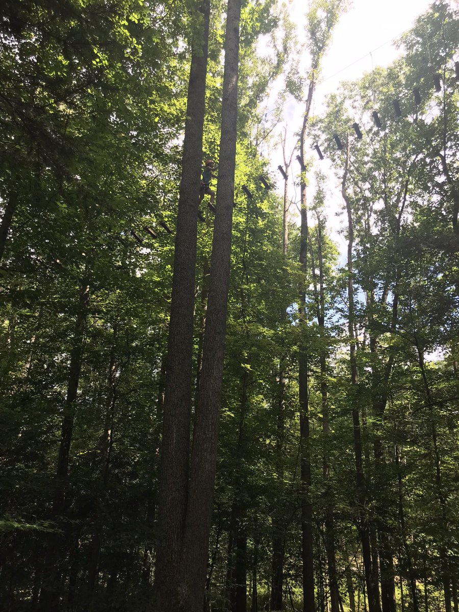 FoodForThought tweet media