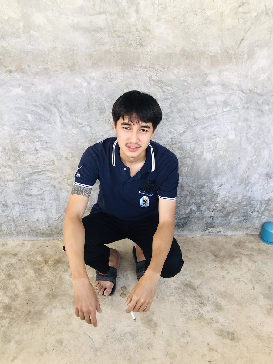 แมวขนสีรุ้ง tweet media