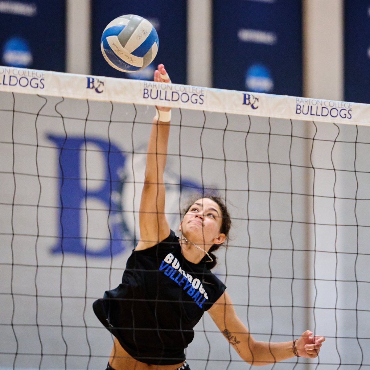 Barton College Athletics tweet media