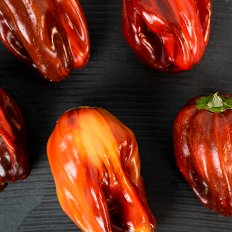SpecialtyProd's tweet photo. These Candy Cane Chocolate Cherry Peppers are just stunning! #specialtyproduce #peppers #candycanepeppers
