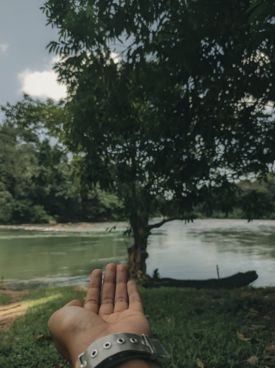 an_it_h's tweet photo. Green 🍃

#river #nature #photography #travel #naturephotography #water #landscape #sunset #photooftheday #summer #sky #mountains #fishing #love #travelphotography #instagood #adventure #bridge #beautiful #naturelovers #landscapephotography #riverplate #photo #forest #lake https://t.co/v7WMJA8hzC