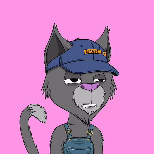 Blessed4aDay's tweet photo. @MerchantOfValha @TotallyAVRGCats Happens to be my second favorite trait behind the Halo's! Let me introduce you to Clarence, Hank and Waylon.. my Appalachian Boys! #AverageAF π€π₯ https://t.co/DrpMT8e0ht