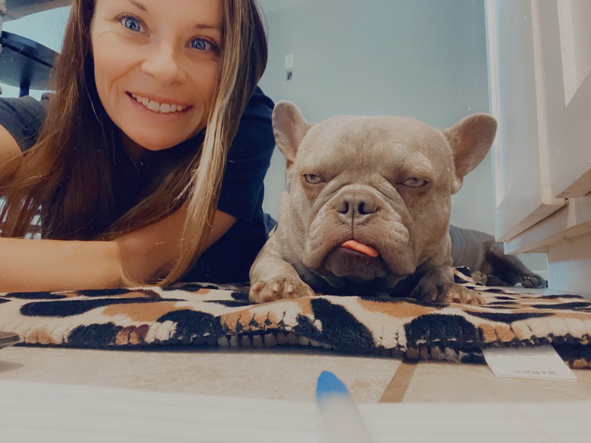 TxGamerChick's tweet photo. OMG! He’s the cutest thing 🥰
I JUST LOVE HIM @TXFamPups #BitTheFrenchie #MyBitcoinBaby #Bitcoin https://t.co/dzGisnTkux