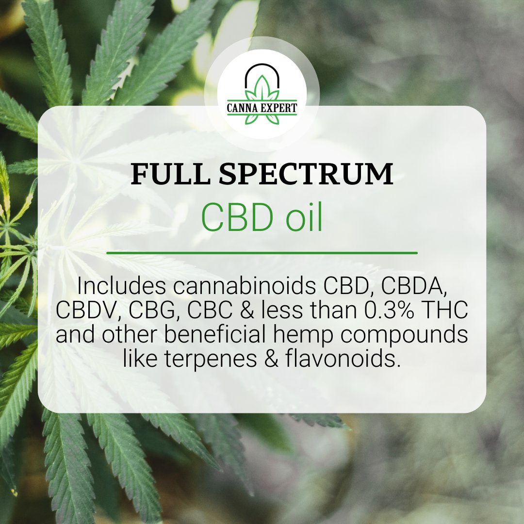 BeloBiz_com's tweet photo. Did you know?
#cbd #cannabis #cbdvape #hemp #cannabiscommunity #cbdoil #cbdhealth #cbdproducts #cbdlife #cbdmovement #cbdcommunity #vape #cbdwellness #cbdheals #health #medicalmarijuana #cbdbenefits #wellness #organic #smoke #weed https://t.co/CDA4g2V1n3