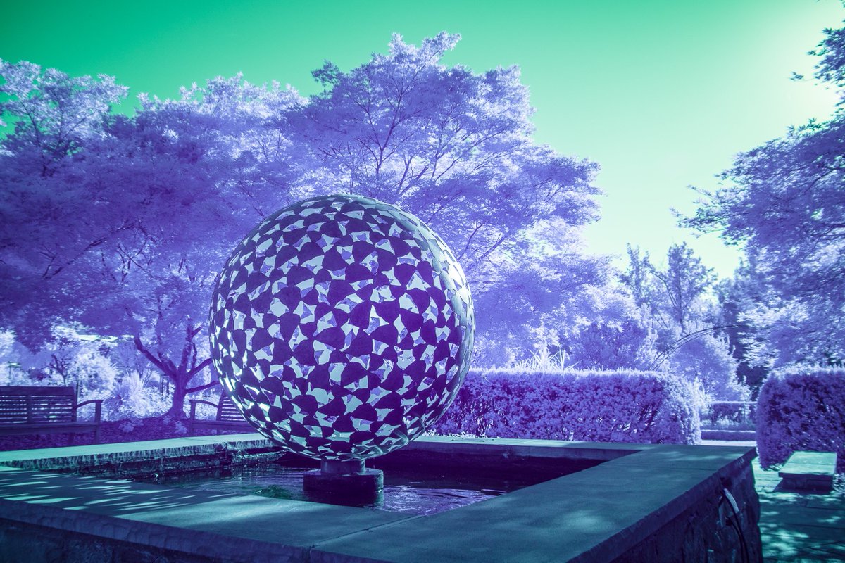 svansicklephoto's tweet photo. Sometimes, #infrared + #sculpture = alien world 👾
#ir #590nm #fullspectrum #fujifilm #xt3 #fujifilmx_us #brooksidegardens #park #nature #trees #summer #landscape #wheaton #maryland #md #exposeddc #igdc #kolarivision https://t.co/xN1t82wPLy