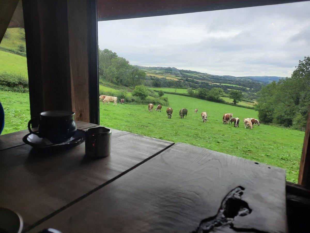 Lunch with a view, plus long horn cows #Lunch #Cows #LongHornCows #carregcennencastle #Wales #breconbeacons 🐮🥪☕️💕