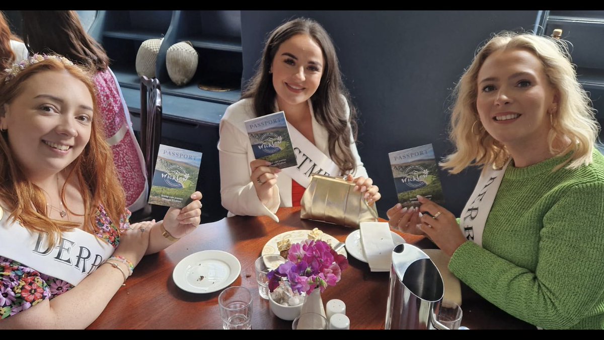 Wicklow County Council tweet media