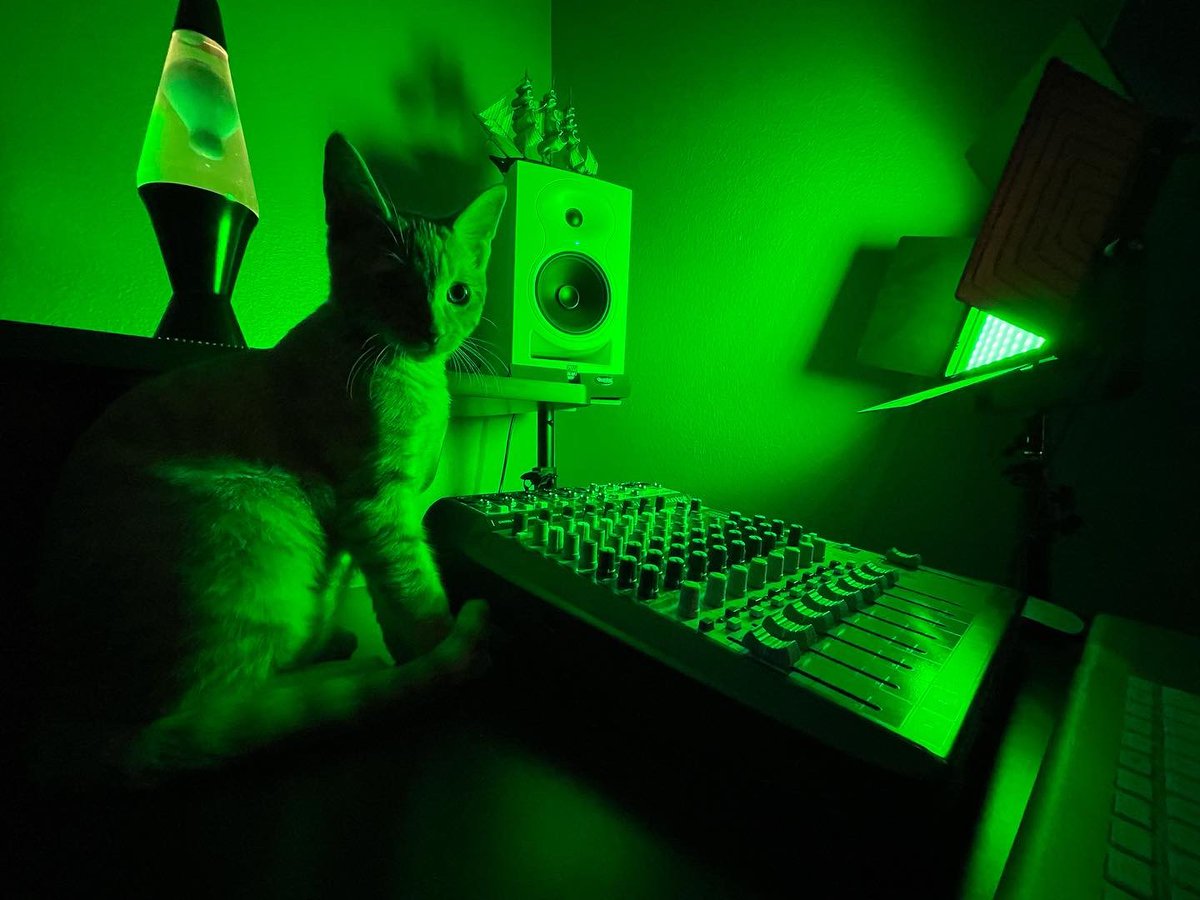 MeikaGrimm's tweet photo. Studio kitty here to remind you to take a break from time to time to stretch your legs and give your ears a rest.. and maybe give a few head pats? 💜🐈

#recordingstudio #recordingartist #kitten #postproduction #audioengineer #music #soundtrack https://t.co/AHY8Hw1Mu9
