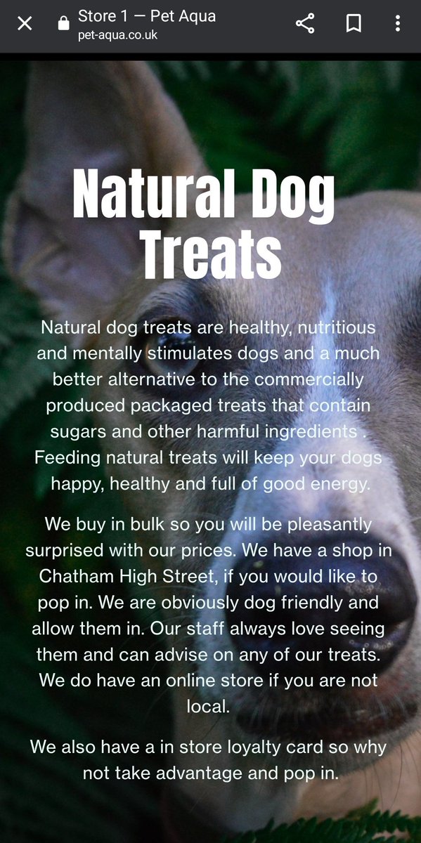 I am featured on a website 😍😍😍 it's hoomoms favourite photo of me 💙💙