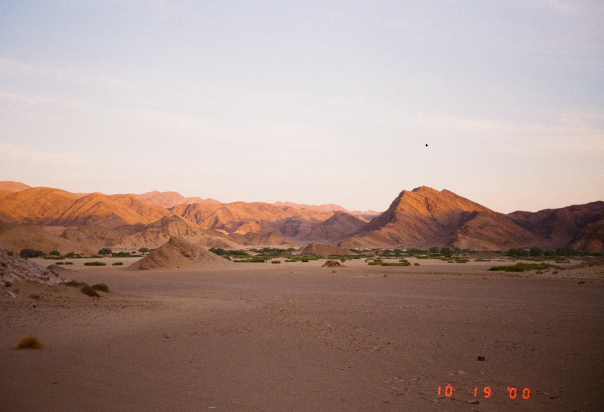 Amelia | amslebrun.eth 🏳️‍🌈 tweet media