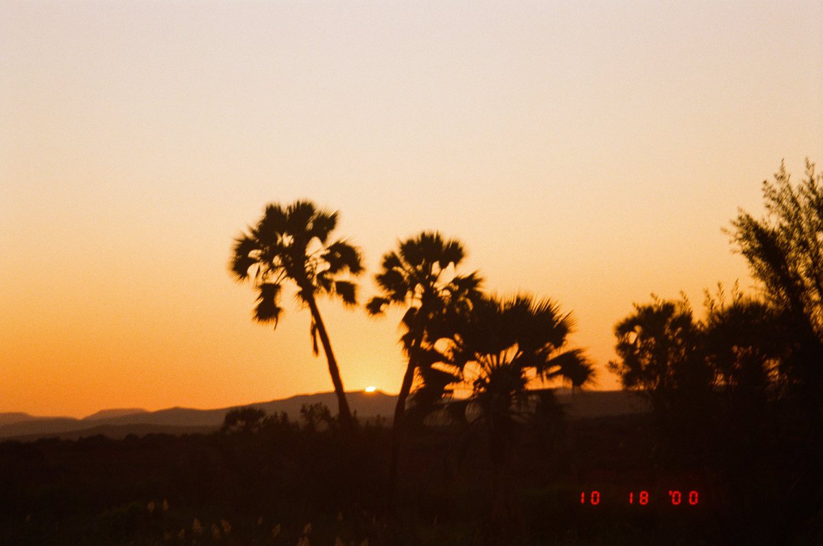 Amelia | amslebrun.eth 🏳️‍🌈 tweet media