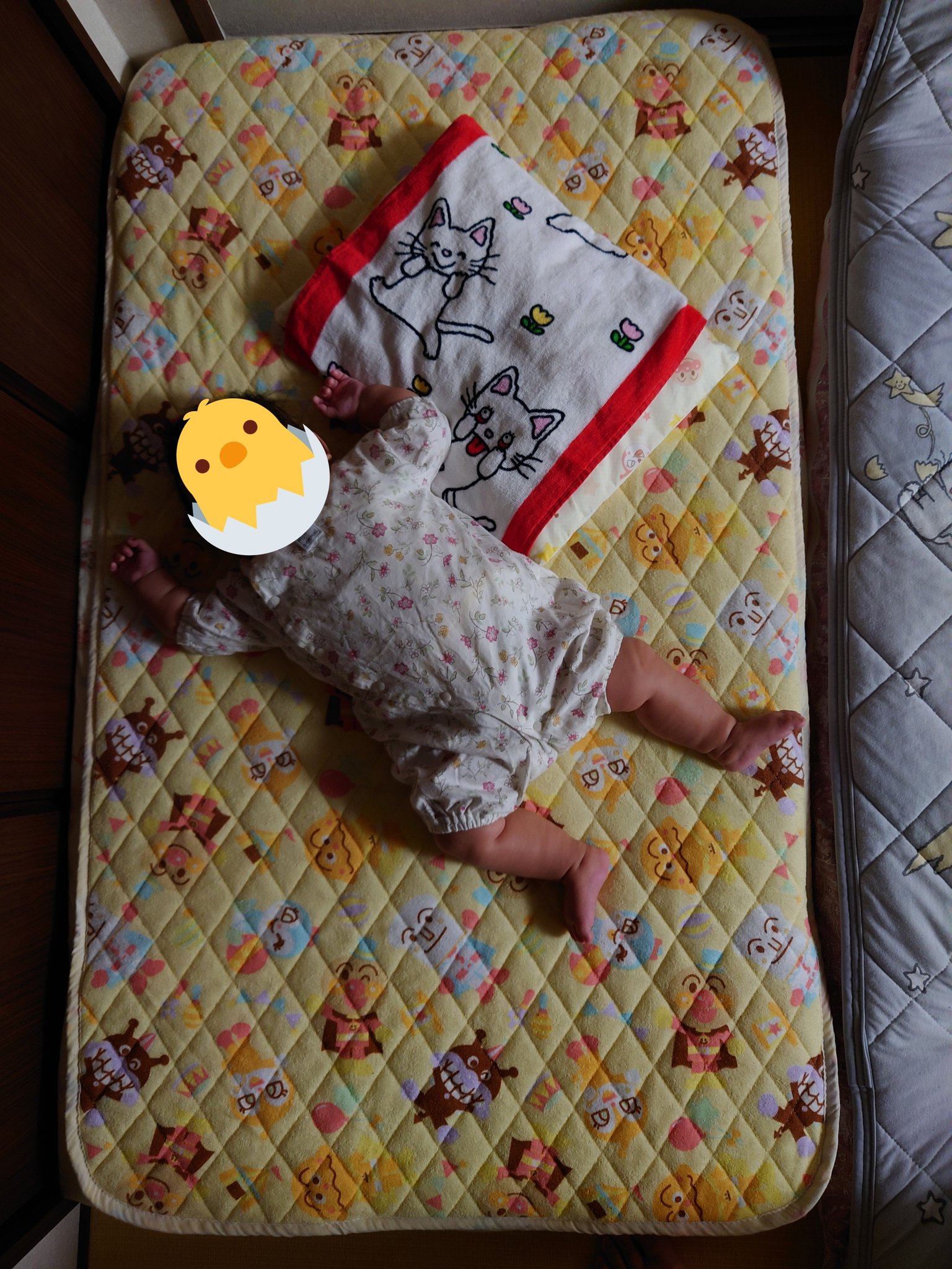 تويتر ざっちん على تويتر 寝相悪いな 昨日は暑すぎて寝室は冷房でも冷えなくて 仕方なく寝室よりは涼しい でも暑め リビングで寝たけど 周りに壁とかないからか布団から落ちてジョイントマットの上に転がってたし 赤ちゃんって皆こんなもん T Co