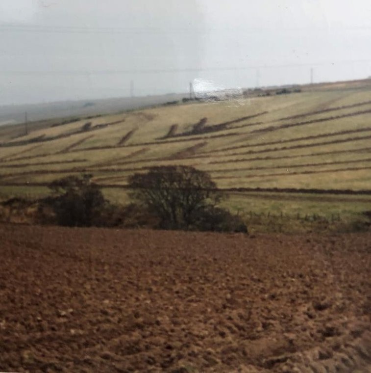 LockettRichard's tweet photo. Come and join us on Knockbain Farm, Dingwall for a chat about trees. 31st August.
We'll blether about how the farm was pretty bleak in 1970, how we've tried to improve things since (including mistakes / slight disasters) and exciting new plans. 
Register➡️https://t.co/Zsxr82b34h https://t.co/KdYtuyx9op