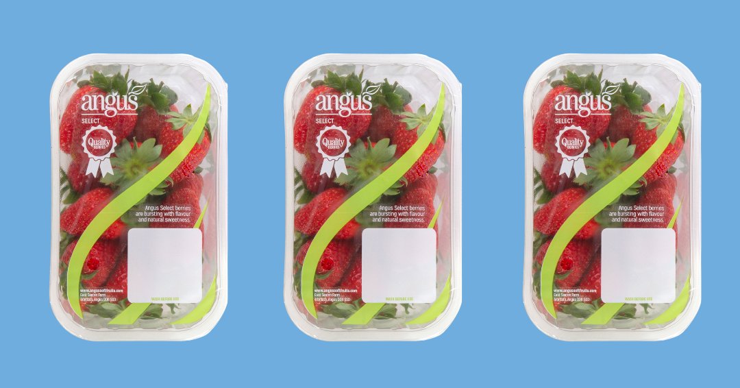 There's not many months left of our delicious Angus Select strawberries! 🍓 Available in 400g punnets. Contact our trading team today to order yours! 📞
#AngusSelect #Strawberries #Summer #BritishProduce #ScottishProduce #FoodIndustry #UKMarkets #Hospitality #InstaChef