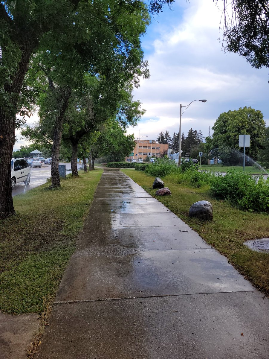 KrysC_geog's tweet photo. @usask watering the sidewalks. In the rain. During a drought. https://t.co/CkGe8XFklt