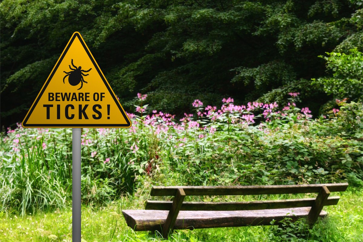 Scarlet_Health's tweet photo. Are you soaking up the last days of summer? If you’re getting ready for your next hike, picnic, or other outdoor activity, you’ll want to look out for ticks. We have five things you should know about Lyme disease in our blog post: https://t.co/8nrQpYCxfr #scarlethealth https://t.co/WdDwNg13JP