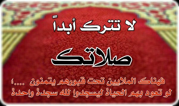 🇪🇸💙hamood❤️🇵🇸 tweet media