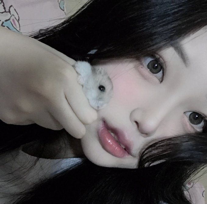 コスプレイヤー미유 ミユのTwitter画像29