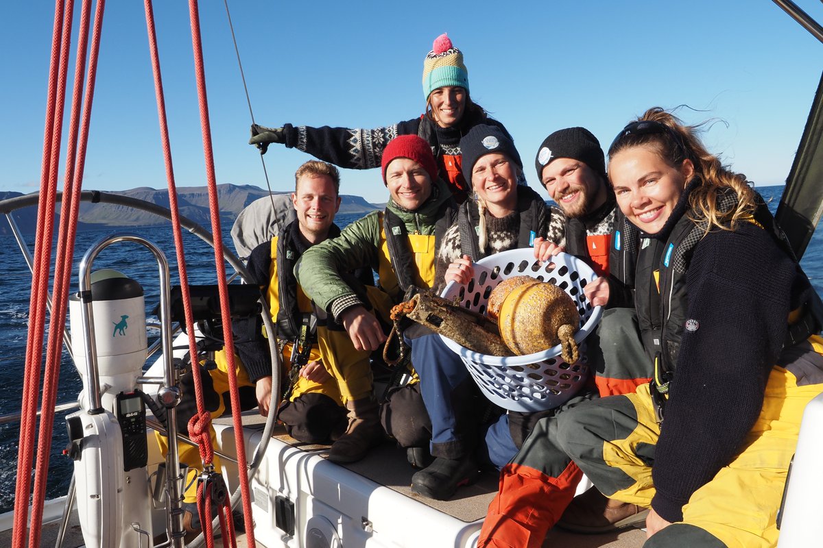 Whale Wise tweet media