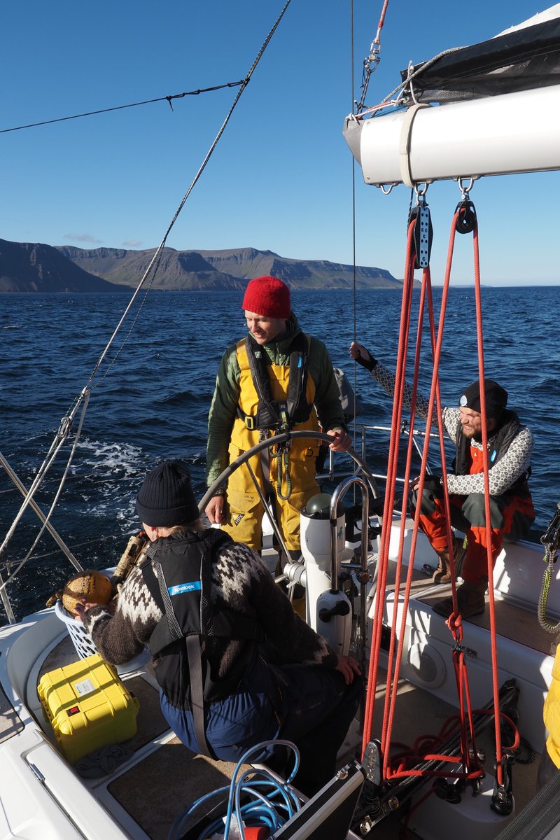 Whale Wise tweet media