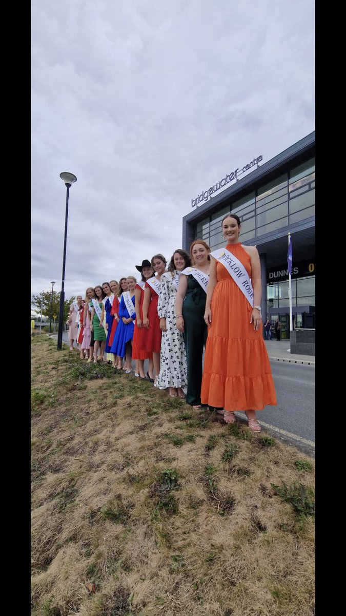 Wicklow County Council tweet media