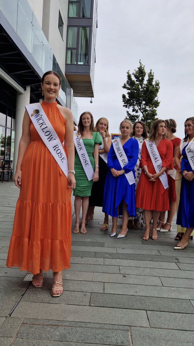 Wicklow County Council tweet media