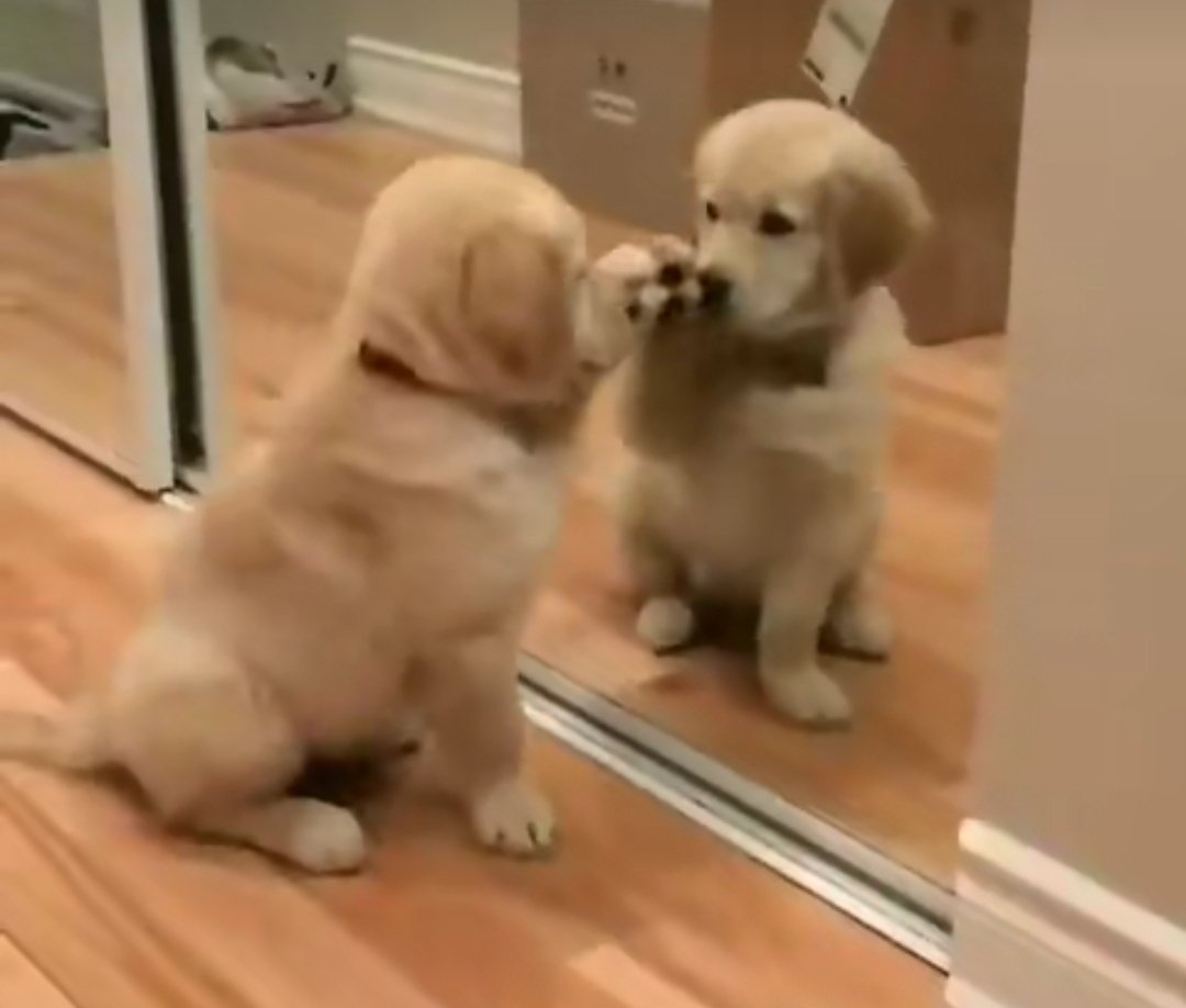 َ (@hyukatriever) on Twitter photo 