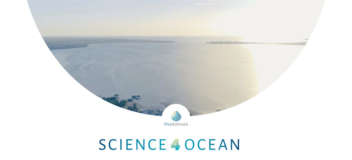 Happy #MeerWissenMonday! Did you already visit our new site #Science4Ocean? 

It showcases the way MeerWissen projects are addressing the huge challenges the #Ocean is facing at the moment.

Take a look: science4ocean.meerwissen.org
