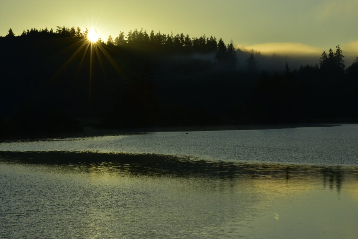WillapaP's tweet photo. Sunrise bursting over the Willapa Hills along the Willapa River.

#sunrise 
#sunrisephotography
#landscapephotography 
#NaturePhotography 
#photography https://t.co/yViEAwxIB8