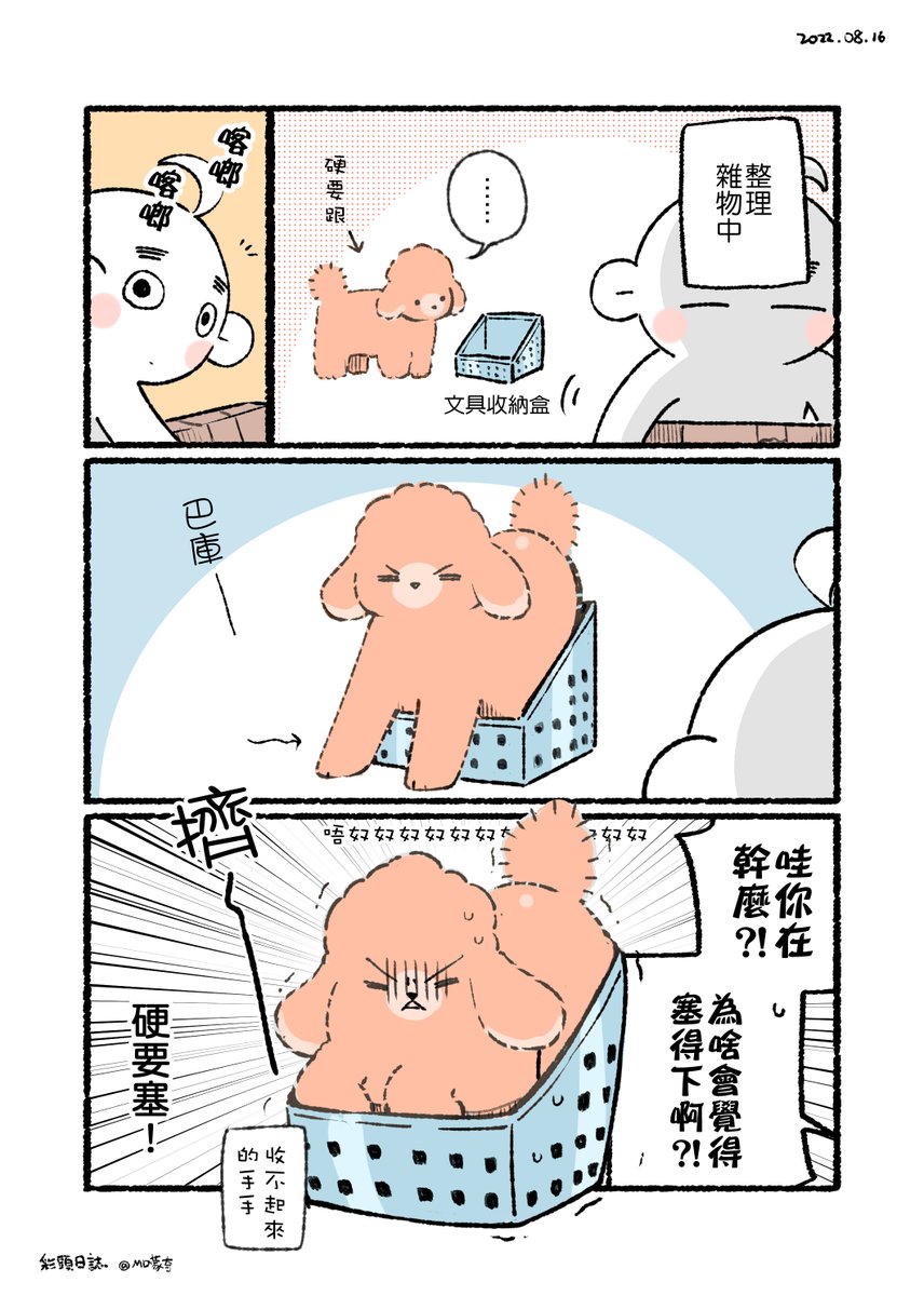 -彩頭日誌-
可能以為自己是隻貓...?

#原創 #日常 