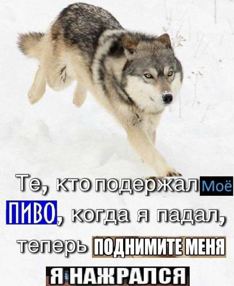 ledhelminth's tweet image. 