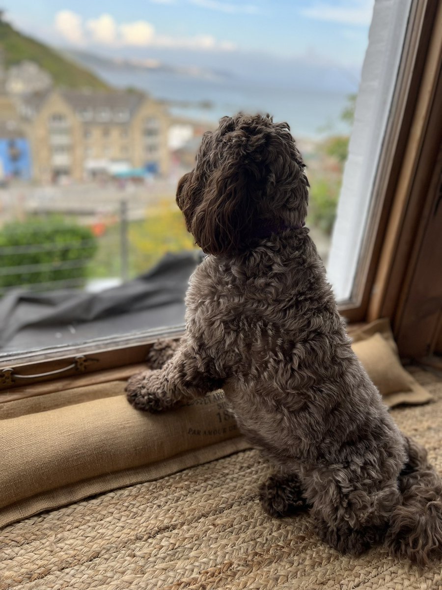 DrAshNisbet tweet media