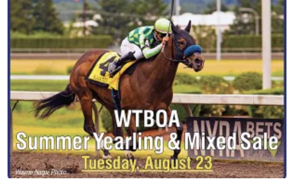 WTBOA's tweet photo. The annual sale will be here in less than a week. Reminder new start time 1 pm https://t.co/kCaiwclECK