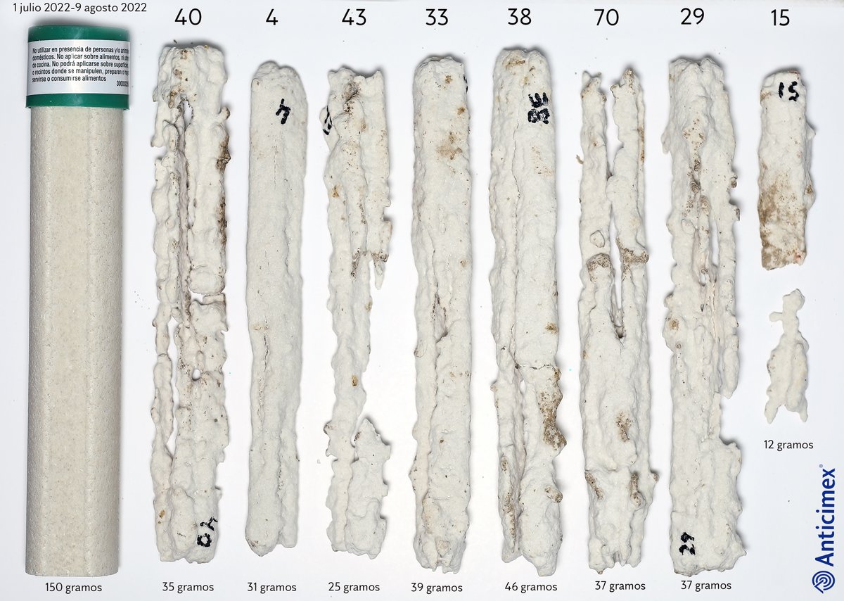 David Mora del Pozo tweet media