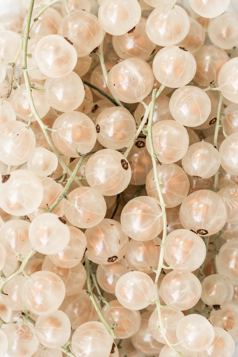 archillect's tweet image. 