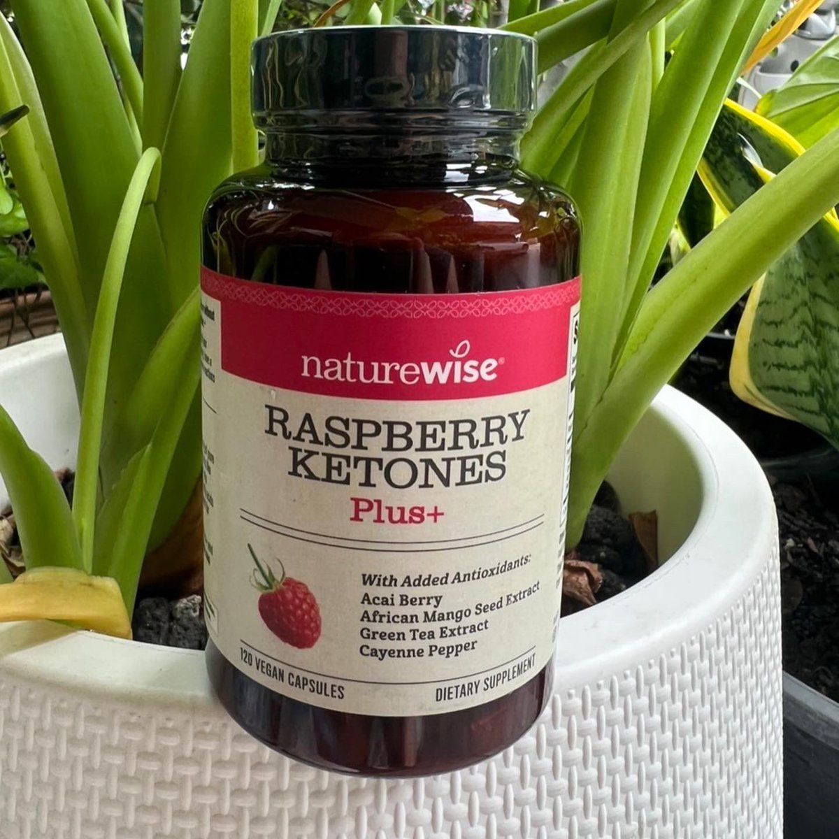 VITAMINBYKUMA's tweet image. #naturewise #keto #ketones #raspberry #คีโต #ลดไขมัน #ลดน้ำหนัก #ลดความอ้วน #วิตามินนำเข้า

เพิ่มการเผาผลาญ และควบคุมความอยากอาหาร ช่วยลดน้ำหนักได้ดีมากกกก รักมากกกก ❤️ ราสเบอร์รี่ คีโตน สุดยอดอาหารเสริมลดน้ำหนักขั้นเทพ ขายดีที่สุดทั่วอเมริกา bit.ly/3SUK5CM