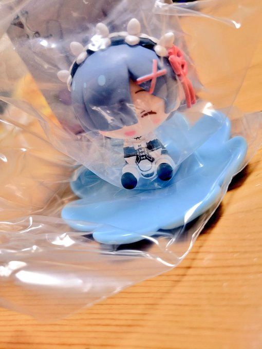 姉上からレムたん貰った 