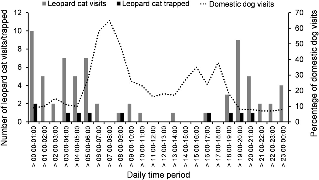 WildlifeBiol's tweet photo. Live capture & handling of Taiwanese leopard cats: an evaluation of trap designs & capture protocol
https://t.co/wu89r5Cs77
#ESA2022 #ESEB2022
#livetraps #monitoring #management #wildlife https://t.co/v2PcYLnoux