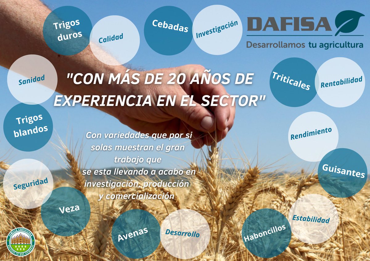 🌱Nuestro objetivo  es seleccionar las mejores variedades de semillas que ofrezcan una producción excelente que se adapten a las distintas climatológicas de nuestros agricultor@s para ello siempre el uso de #semillacertificada 
#cereales #dafisa