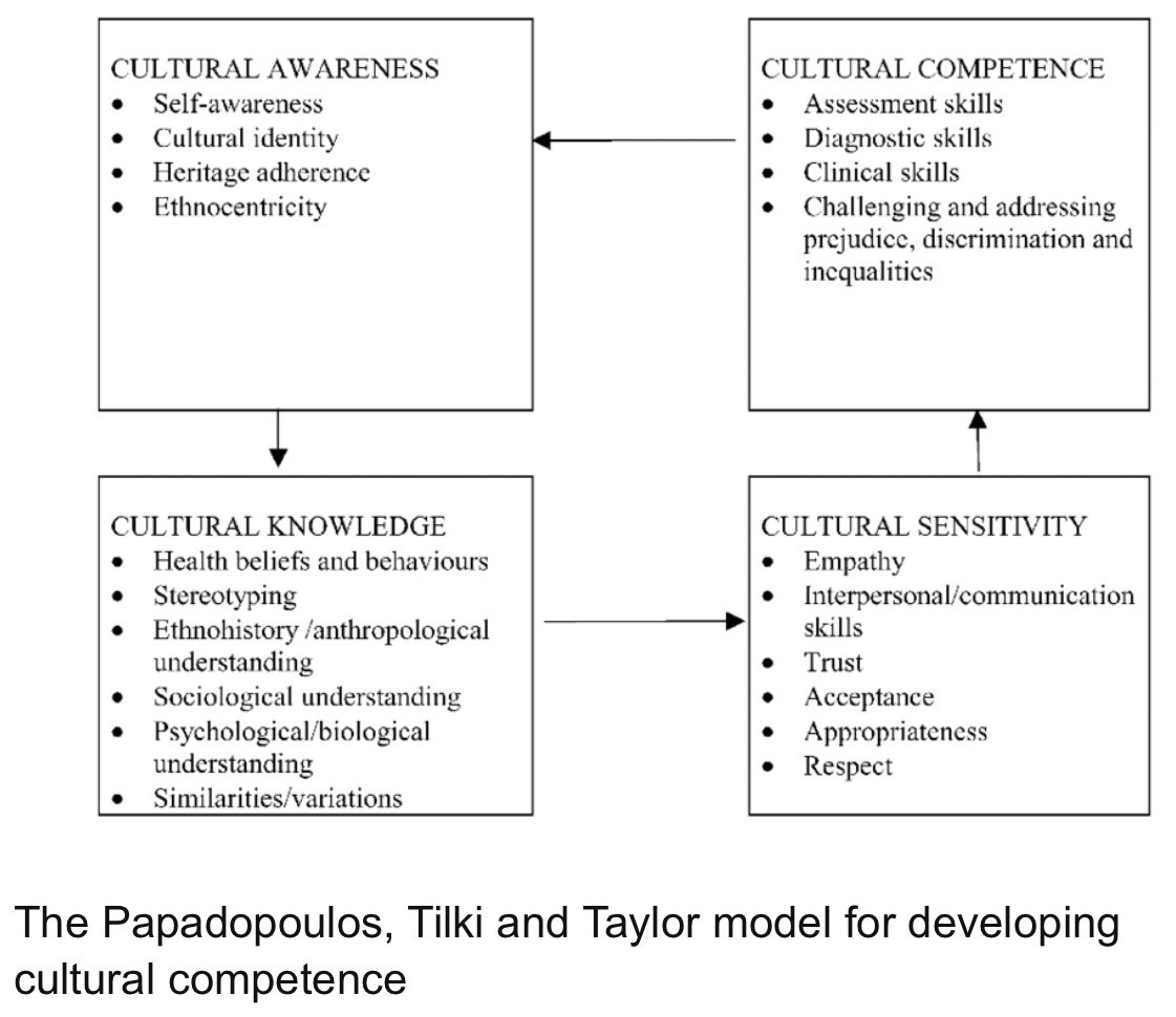 RickSomal's tweet photo. Great to hear from @PHU_EDI today on delivery plans for enhancing Cultural Capability. Papadopoulos et al 1995, define CC as the capacity to provide effective healthcare taking into consideration of individual cultural beliefs, behaviours and needs #ReducingHealthInequality #JSNA https://t.co/gRFm58Mpxb