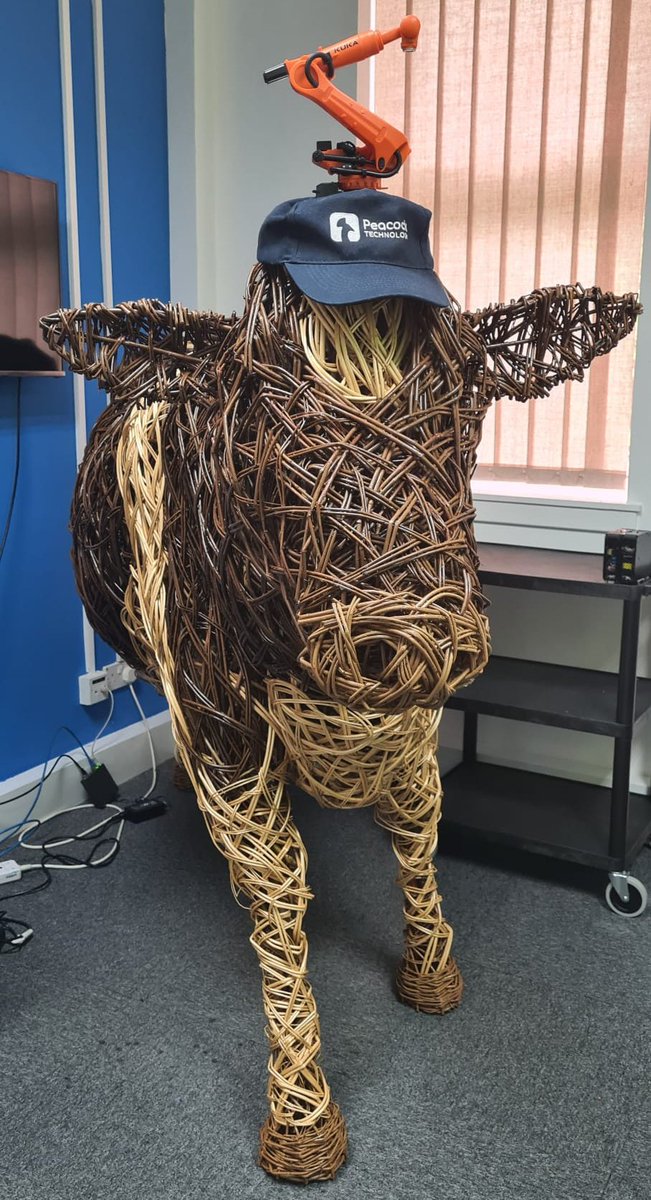 Our newest recruit in the office is settling in nicely...🐄

#peacocktechnology #Dairy #Wickercow #IDSTeat #robotics #automation
